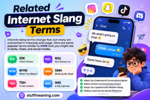 Related Internet Slang Terms