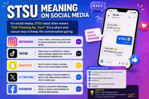STSU Meaning on Social Media