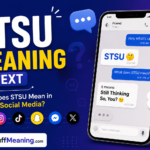 STSU Meaning in Text