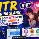 NTR Meaning Slang